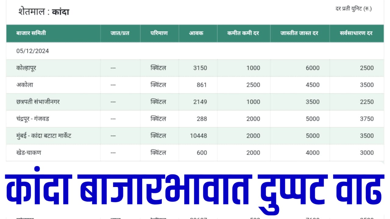 Onion Rate Today